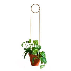 Golden Plant Stake Pin